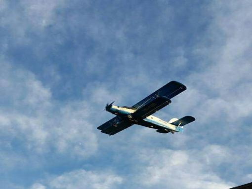 Aviotratament