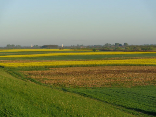 cadastru