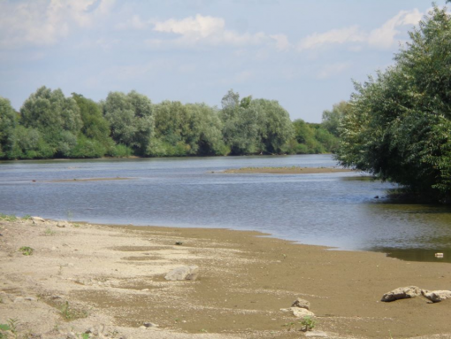 Someșul
