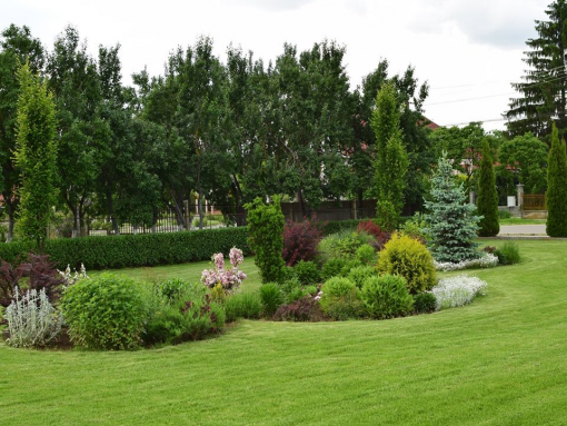 Primăria