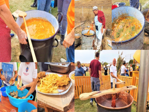 Festival
