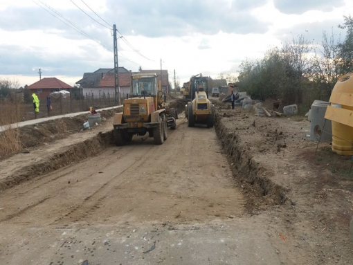Str. Boghiș
