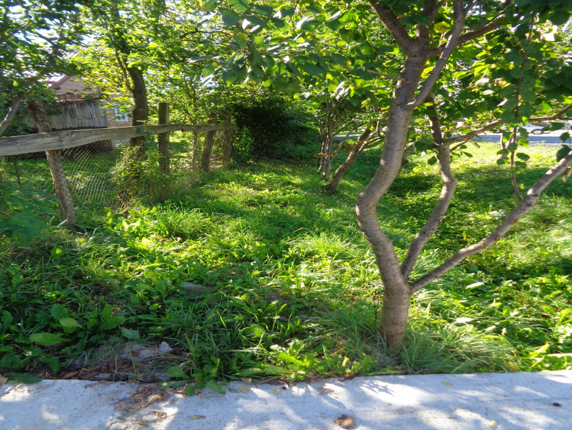 str. Nouă