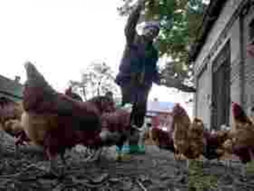 foto