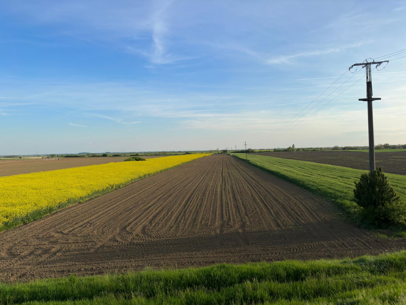 13.08.2024- Anunț cu privire la pierderile produse culturilor agricole datorate secetei pedologice și persistente